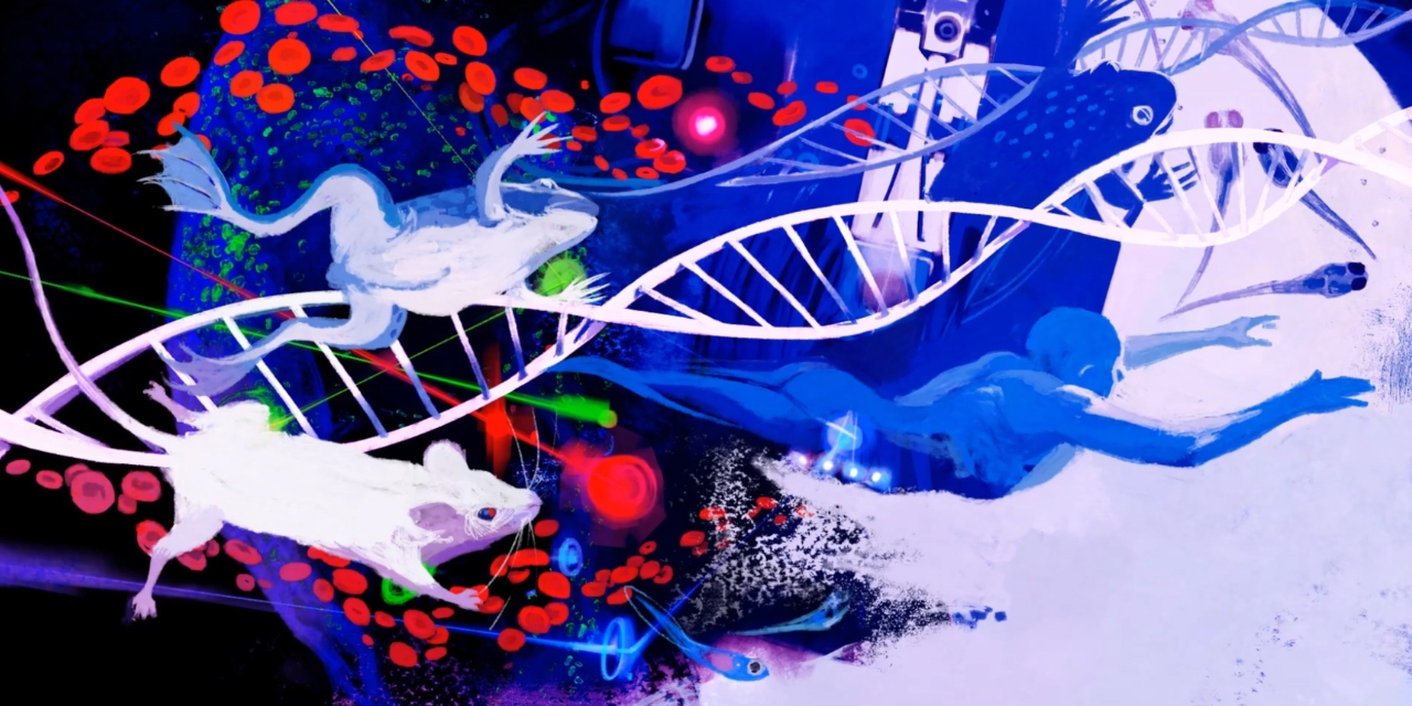 Cells of Knowledge - by Cosimo Morelli